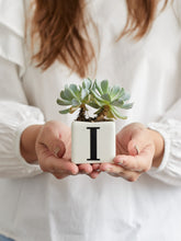 suculenta-con-inicial-regalo-amor-y-amistad-regalos-para-hombres-regalos-san-valentin-amor-y-amistad-regalo-con-chocolates-cuidado-de-suculentas-regalo-de-aniversario-habibi-plantitas.jpg